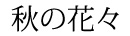 秋の花々